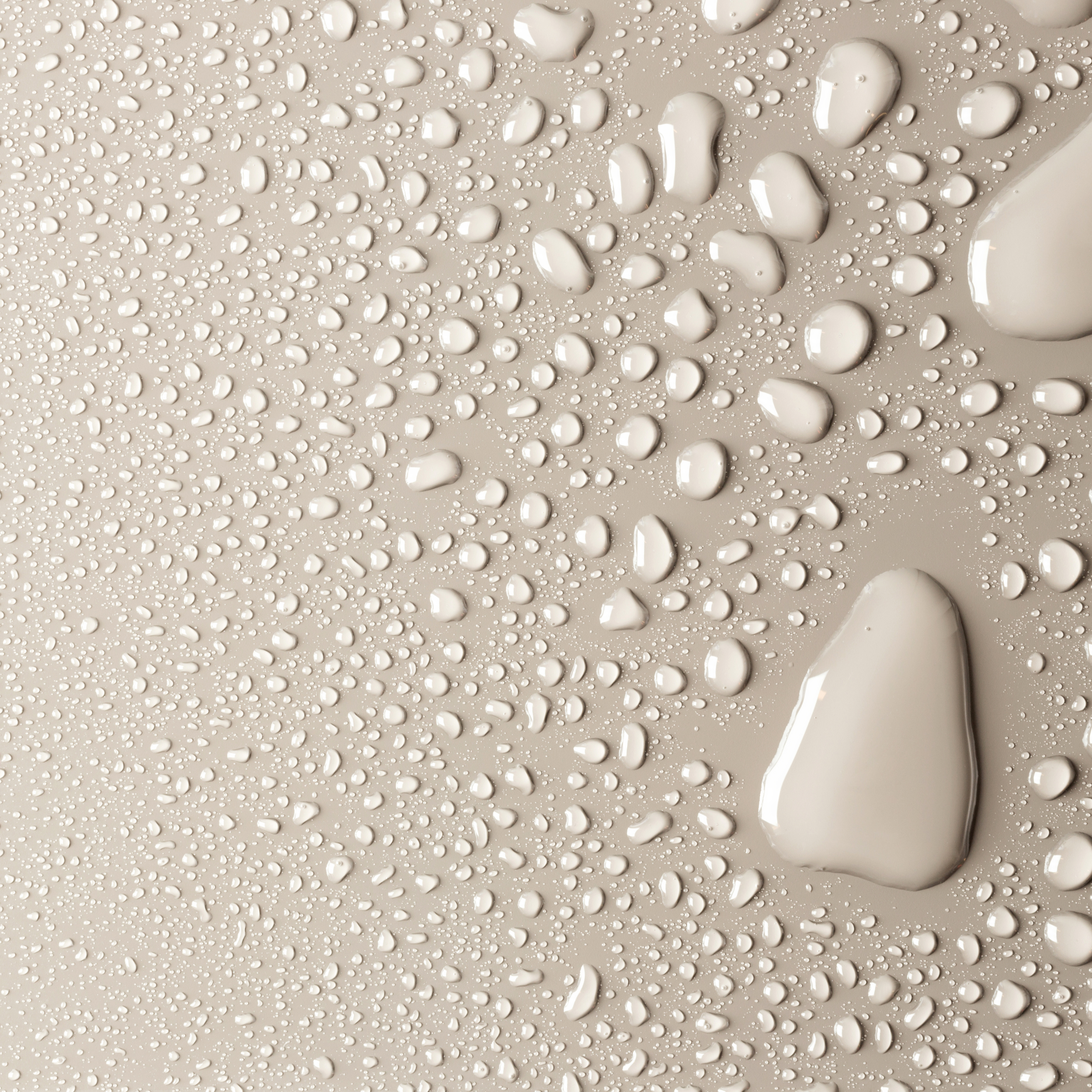 Sanitizer + Anti-Septic Spray Sample